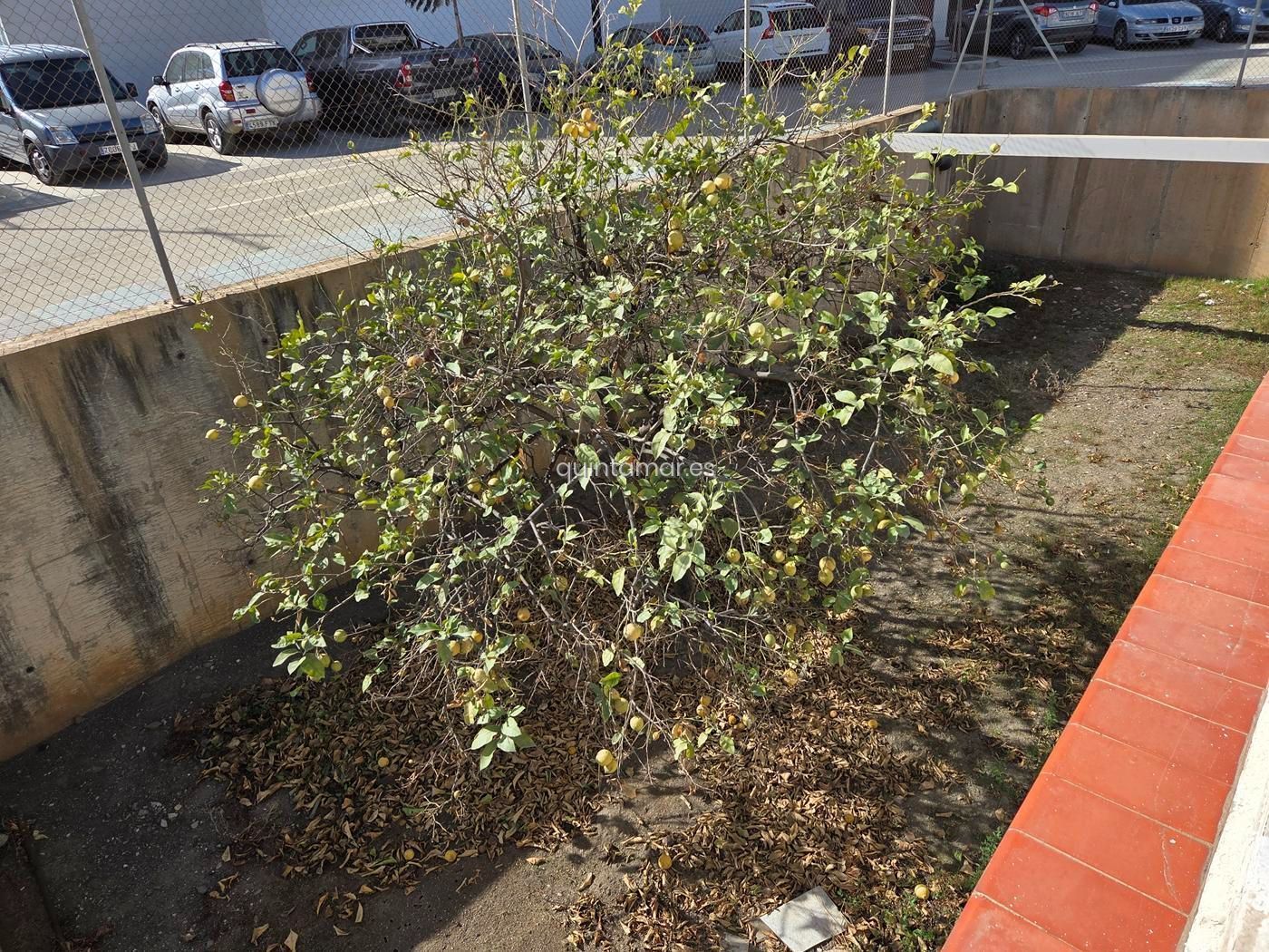 torrox_playa_villa_perfekt_für_modernisierung-14